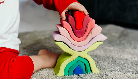 What’s The Story With Montessori Toys?