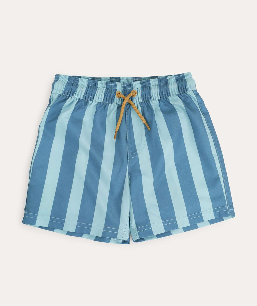 Recycled Swim Shorts: Blue Stripe