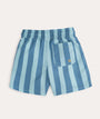 Recycled Swim Shorts: Blue Stripe