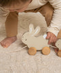 Pull Along Bunnies - Baby Bunny: Baby Bunny