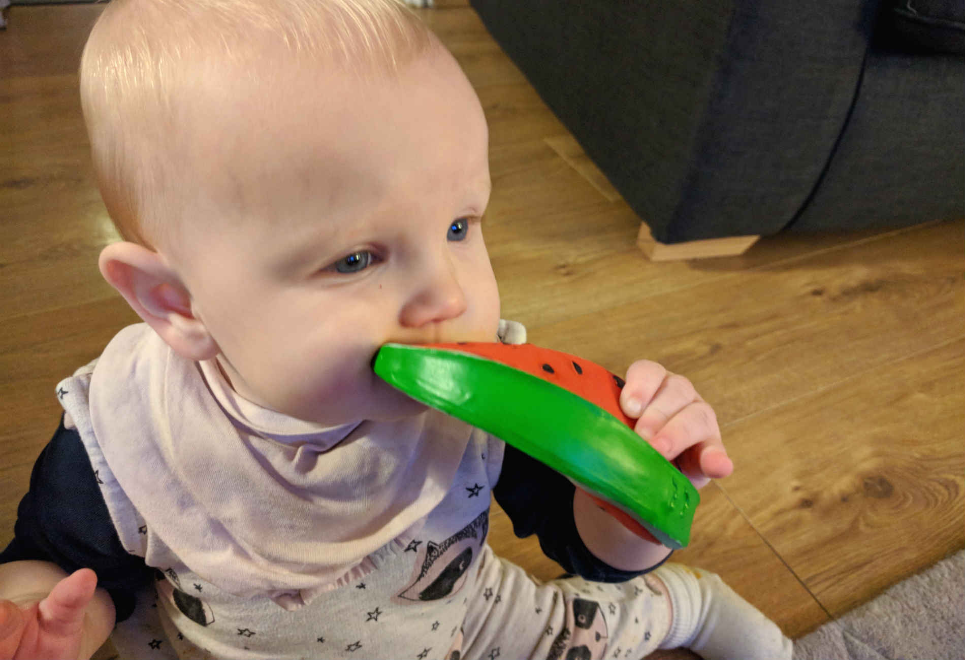 Buy the Red Oli Carol Wally the Watermelon Teether Bath Toy KIDLY